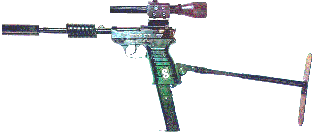 �A���N���ʐ^