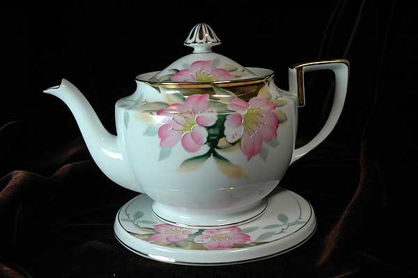 �|�b�g�ʐ^�P